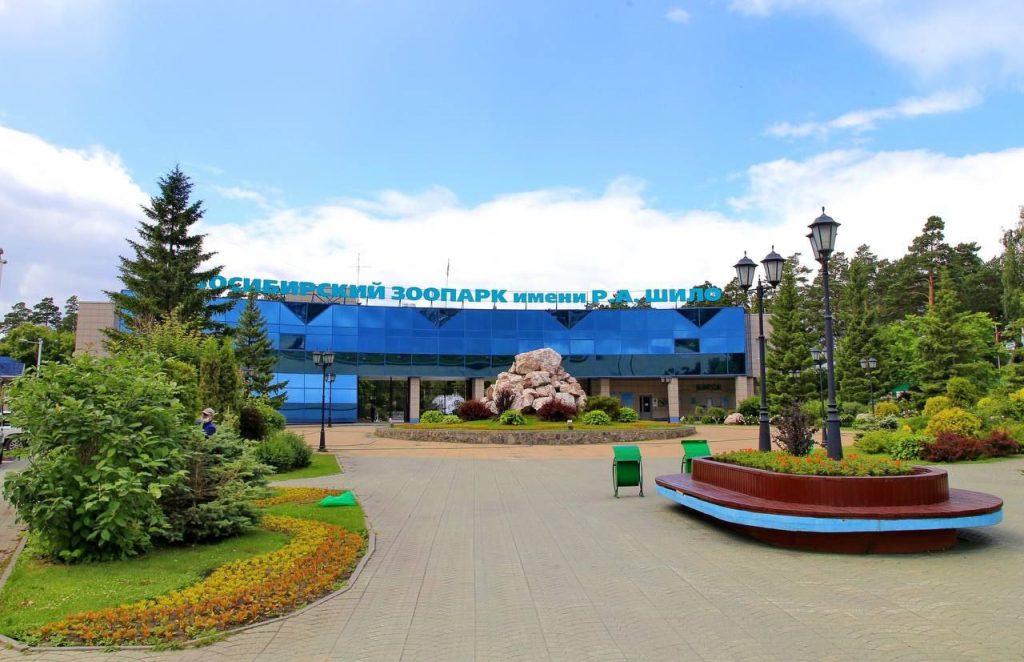 В Новосибирском зоопарке им. Шило построят канатную дорогу