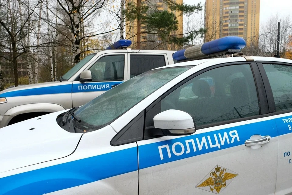 В Осетии девочка в шутку запустила массовую рассылку о готовящемся теракте в школе