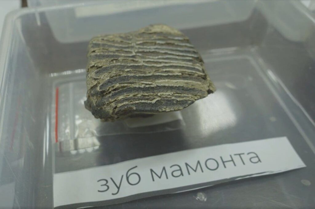 В Иркутской области археологи спасли 180 тысяч находок
